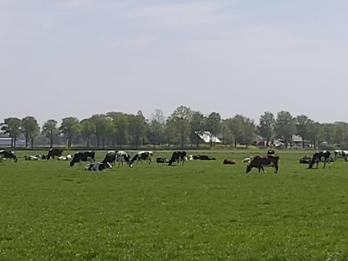 Luxe Gastenverblijf In Het Hart Van Friesland 阿克伦 外观 照片